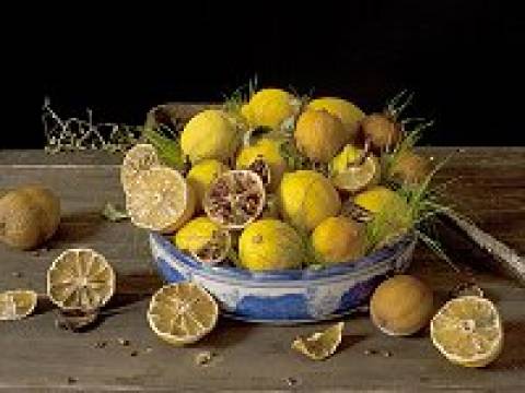 To Make Lemon Syllabub